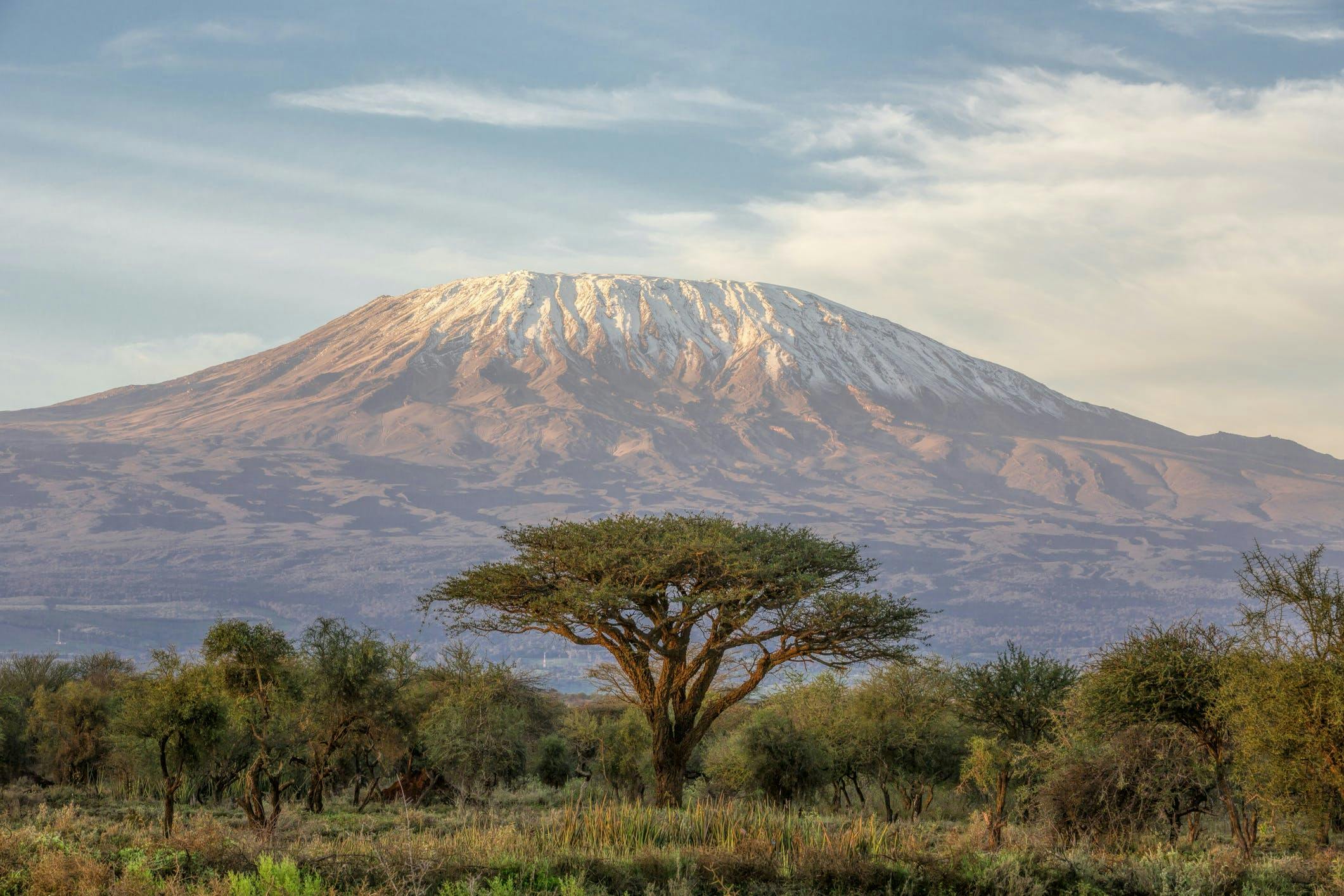 Kilimanjaro - Getty Images - Creative Commons - Indiahikes