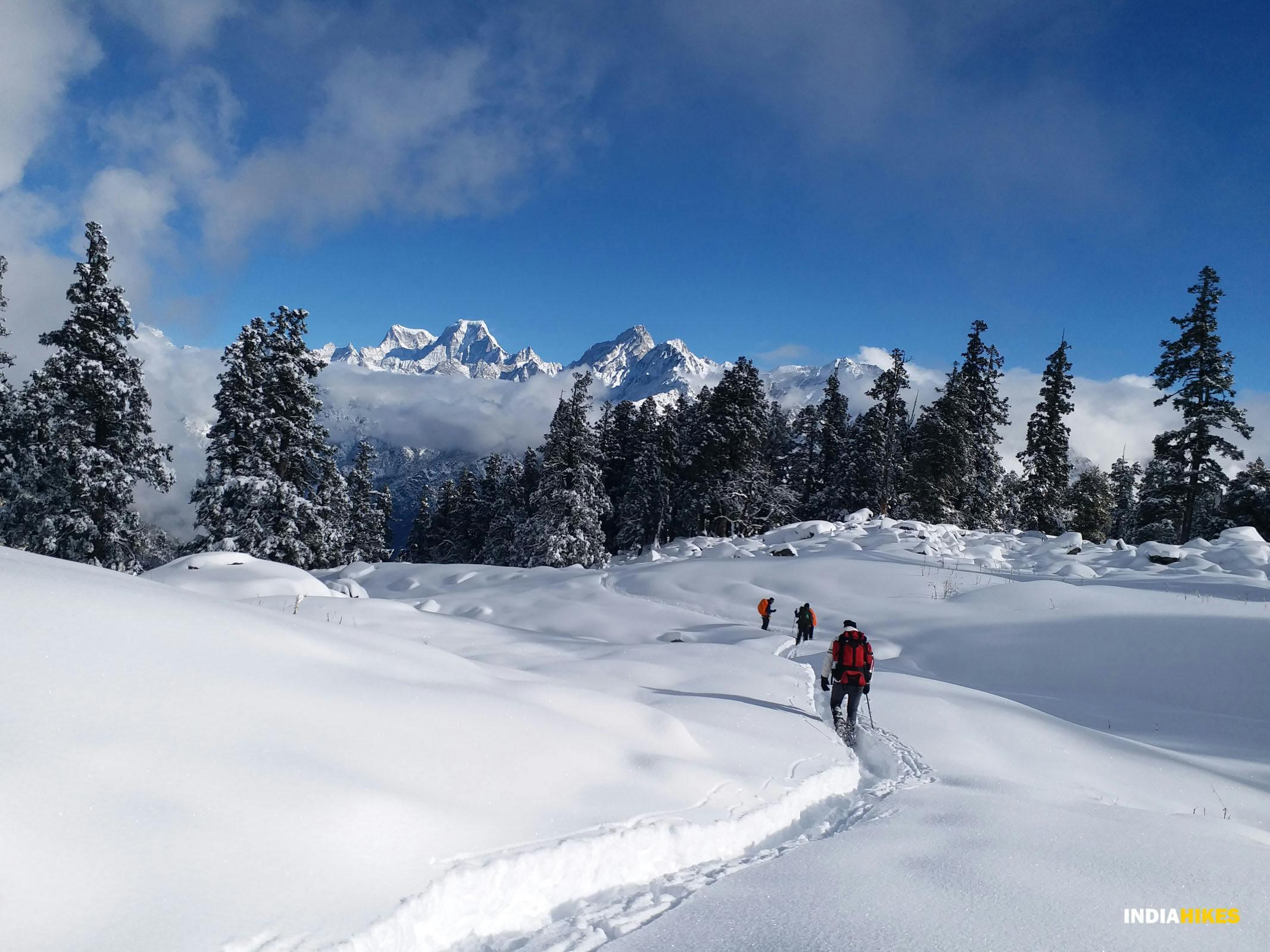 indiahikes kuari pass trek