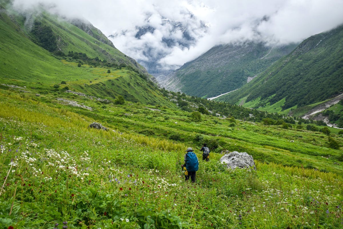 valley of flowers trek best time valley of flowers trek distance valley of flowers trek cost valley of flowers trekking packages valley of flowers trek difficulty valley of flowers indiahikes valley of flowers trek from ahmedabad 
valley of flowers trek uttarakhand
valley of flowers trek itinerary ghangaria to valley of flowers trek distancev how difficult is valley of flowers trek hemkund sahib and valley of flowers trek govindghat to valley of flowers trek distance
is valley of flowers trek open now valley of flowers trekking packages valley of flowers trekking Flowers in the valley