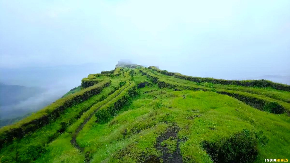Sanjivani Machi, Rajgad fort trek, treks near Pune, treks in Maharashtra, Sahyadri treks, Indiahikes