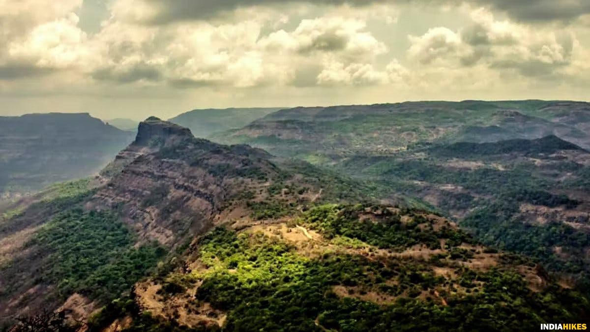 Rajmachi trek, Autumn treks, treks near Mumbai, treks near Pune, treks in Maharashtra, Autumn treks, Sahyadri treks, Sahyadri terks in Autumn