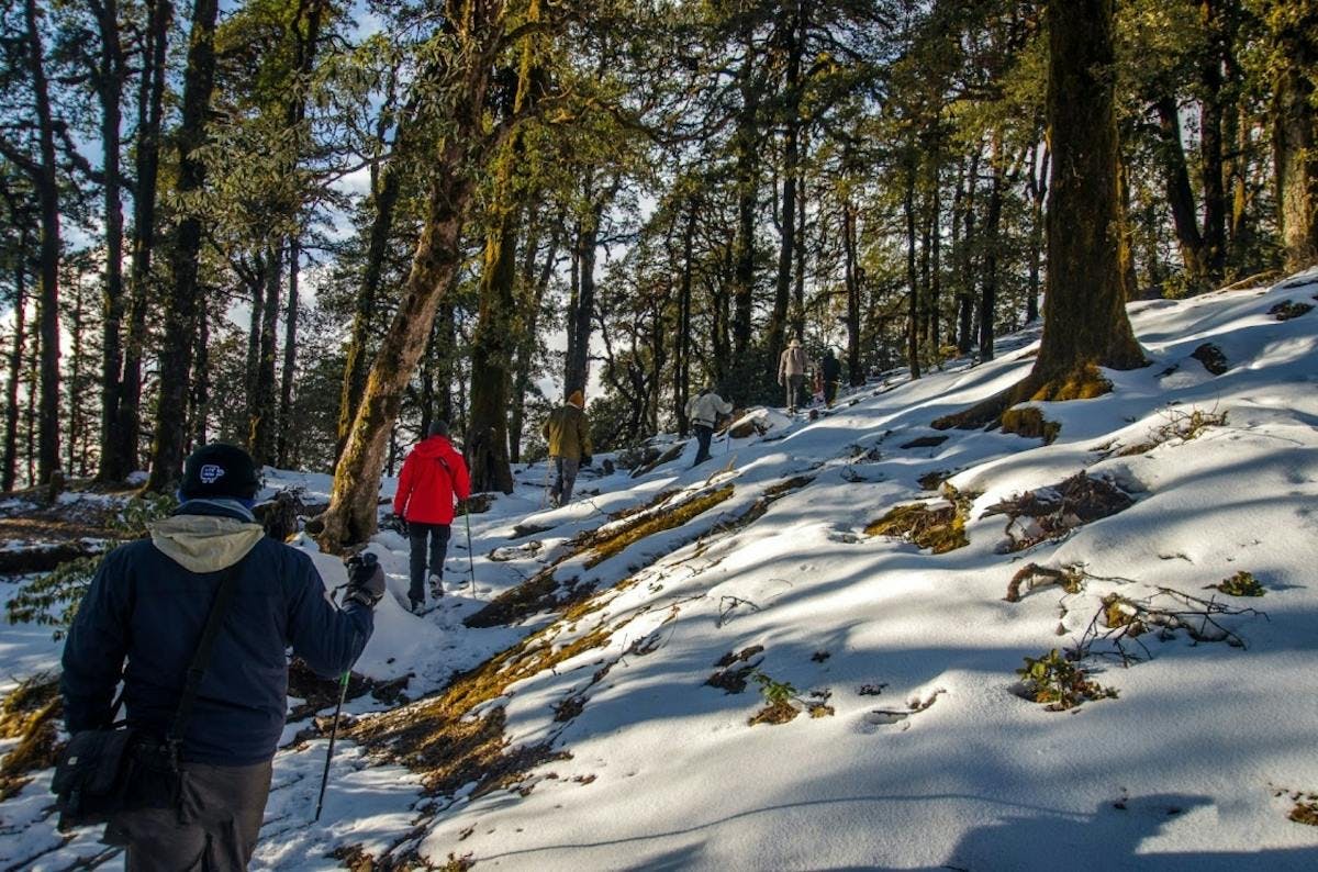 Two friends going through snow laden forests of the Brahmatal trek in February and March