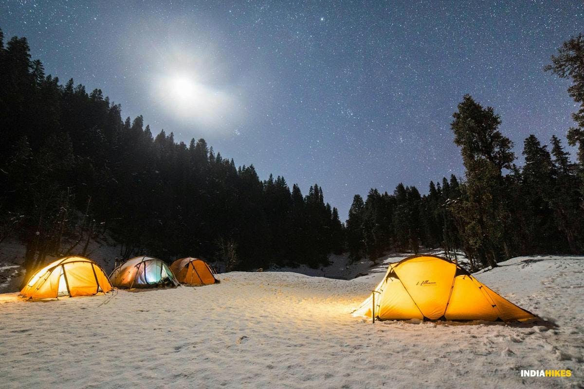 Four high quality yellow tents nestled together under the night sky just besides Kedarkantha forest