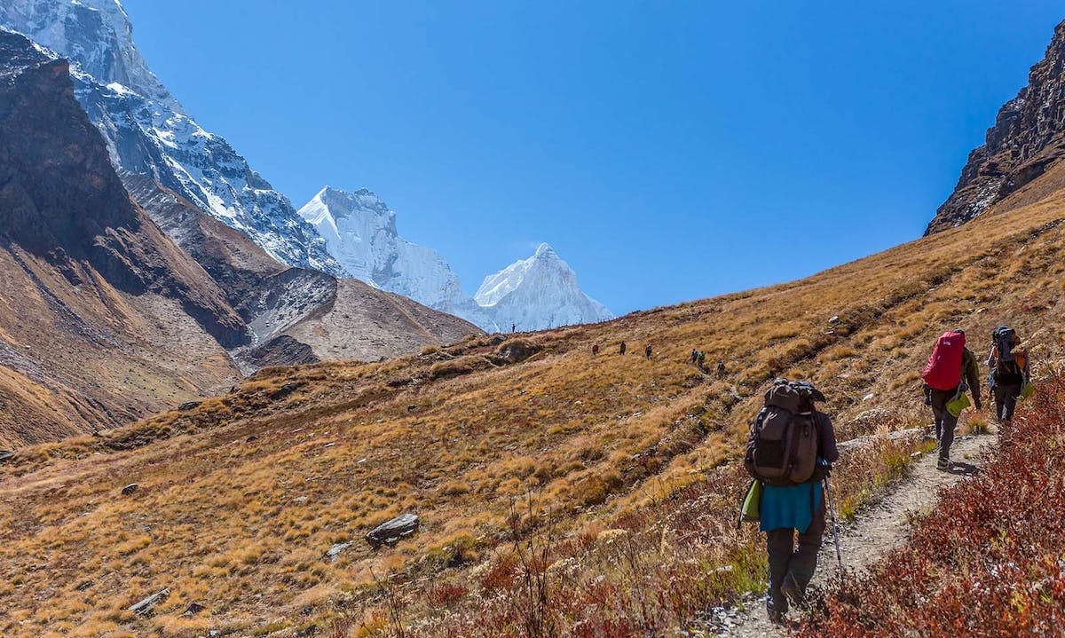 Kedartal, Himalayan treks, Difficult treks, Indiahikes