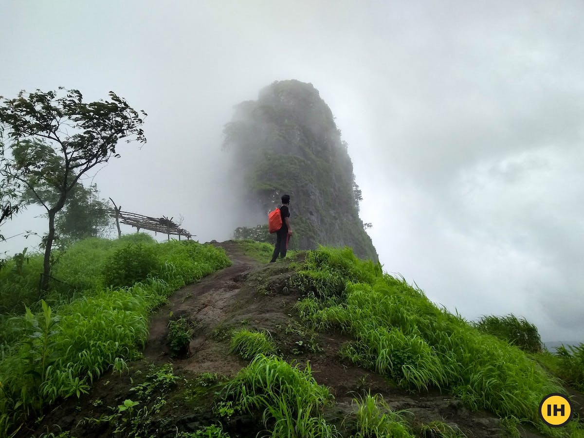 Kothaligad trek, Treks in Maharashtra, Monsoon treks in Maharashtra, Sahyadri treks, Treks near Mumbai, Treks near Pune 