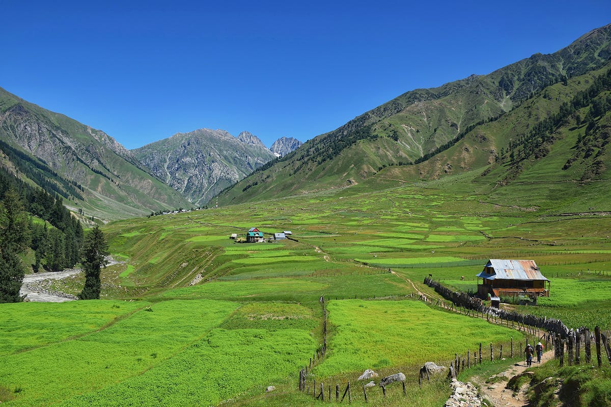 Warwan Valley - Villages of Kashmir -Meadows - Kashmir Trek - Indiahikes