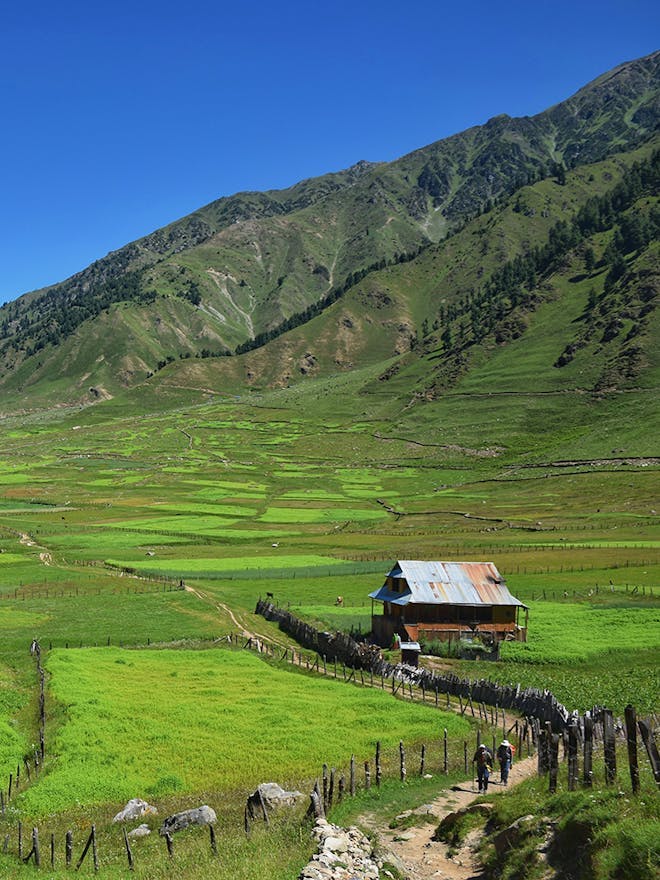 Warwan Valley - Villages of Kashmir -Meadows - Kashmir Trek - Indiahikes