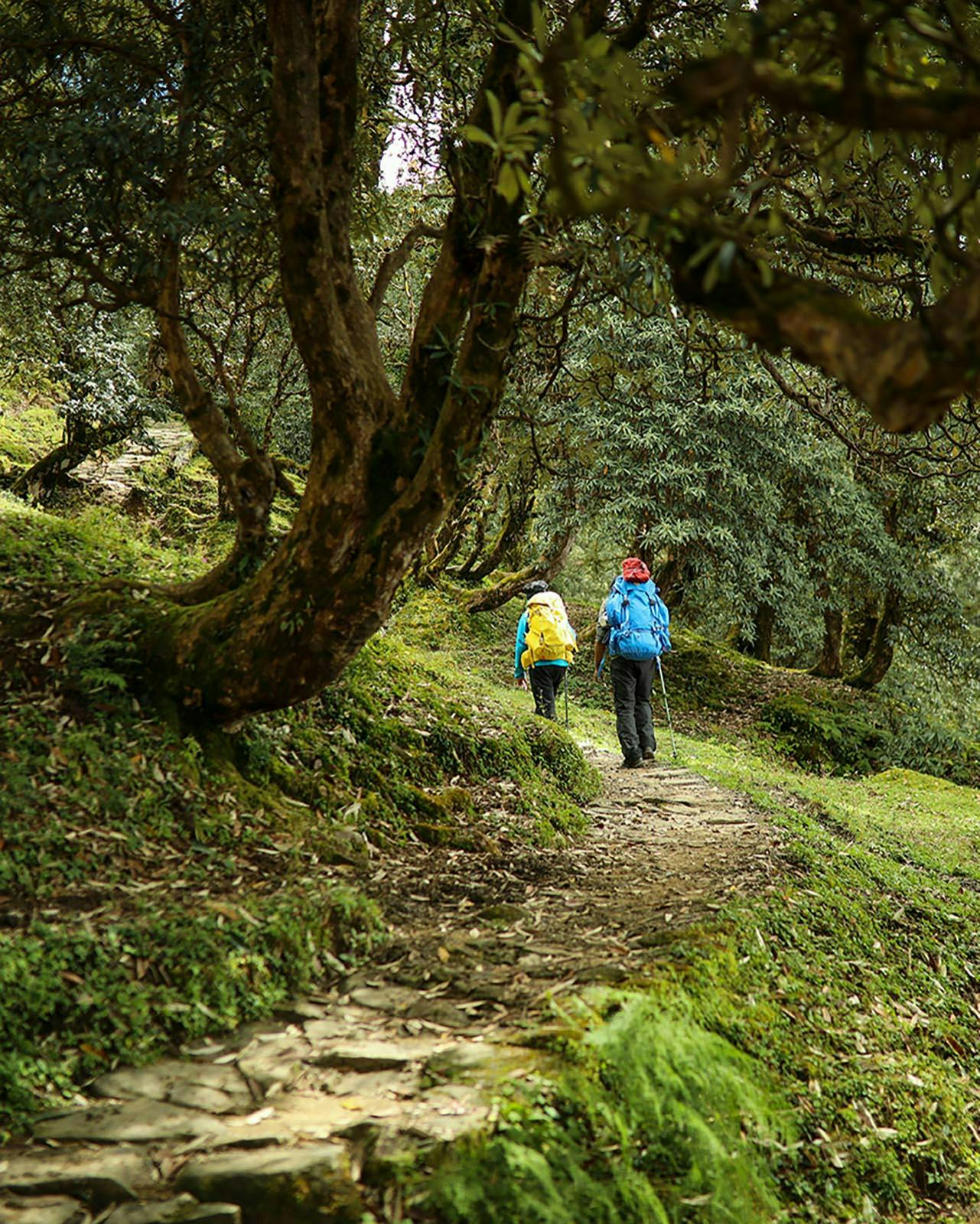 portrait photo of two trekkers walking on the Ranthan Top trail 